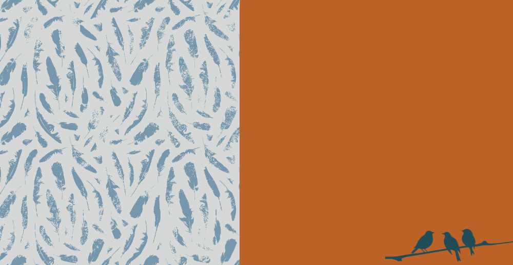 a placeholder image of feathers and birds